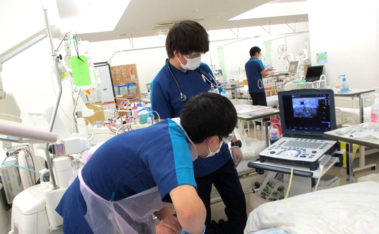 	超音波エコーガイド下穿刺